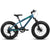 City-Cruizer – 20-Inch Fat Tire Mountain Bike