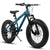 City-Cruizer – 20-Inch Fat Tire Mountain Bike