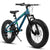 City-Cruizer – 20-Inch Fat Tire Mountain Bike
