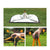Hands Free Weatherproof Camping Tent